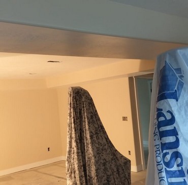 Cabinet Painting - 21.jpg