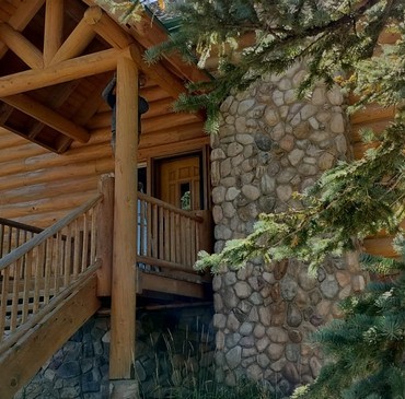 Log Cabin Staining - 2.jpg